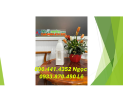 Lọ thủy tinh 50ml đựng nước hoa, chai lọ 100ml đựng tinh dầu