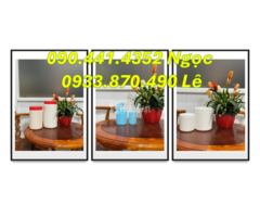 Hủ nhựa 2 ký nắp đỏ, hủ nhựa 1 ký vuông, hủ nhựa 500gr vàng