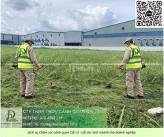 Báo giá chăm sóc cây xanh – cắt cỏ định kỳ KCN Long Đức Đồng Nai