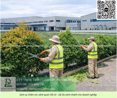 Báo giá chăm sóc cây xanh – cắt cỏ định kỳ KCN Long Đức Đồng Nai - 2