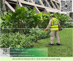 CẮT CỎ ĐỊNH KỲ GIÁ RẺ – NHANH CHÓNG TẠI KCN AMATA, LONG BÌNH, ĐỒNG NAI