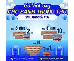Túi hút oxy - oxytoc bảo quản bánh trung thu - 4