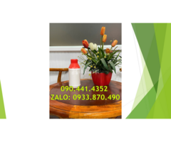 Vỏ chai nhựa 1 lít đựng hóa chất, bình nhựa 500ml vuông màu đen, đỏ, trắng, vàng… - 2