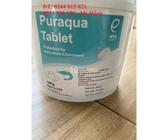 Men vi sinh dạng viên 3G Puraqua Tablet, xử lý nước và đáy ao nuôi - 3