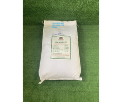 Enzyme Protease tiêu hóa, phân hủy hữu cơ, cắt tảo trong ao - 2