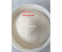 Enzyme Protease tiêu hóa, phân hủy hữu cơ, cắt tảo trong ao - 4