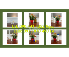 Chai thủy tinh 1 lít đựng hóa chất, chai thủy tinh dày 500ml đựng chất khử