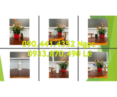 Chai nhựa 250ml đựng hóa chất có khí, chai đựng thủy tinh 100ml - 3