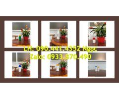 Chai thủy tinh 250ml đựng hương liệu, chai thủy tinh 100ml đựng dầu dừa - 2
