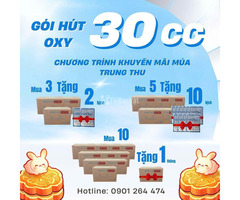 Cách bảo vệ chống mốc bánh trung thu - gói hút oxy
