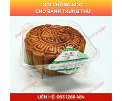Giải Pháp Chống Mốc Bánh Trung Thu Giá Rẻ, Hiệu Quả Cao - 4