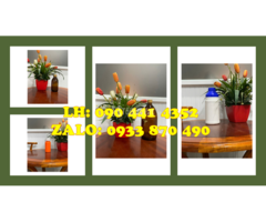Chai thủy tinh 0.5 lít trong suốt, chai thủy tinh 1 lít đựng cà phê, nước ép, trà sữa