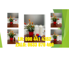 Chai lọ 500ml thủy tinh đựng dầu dừa, chai nhựa 250ml đựng kem chống nắng - 4